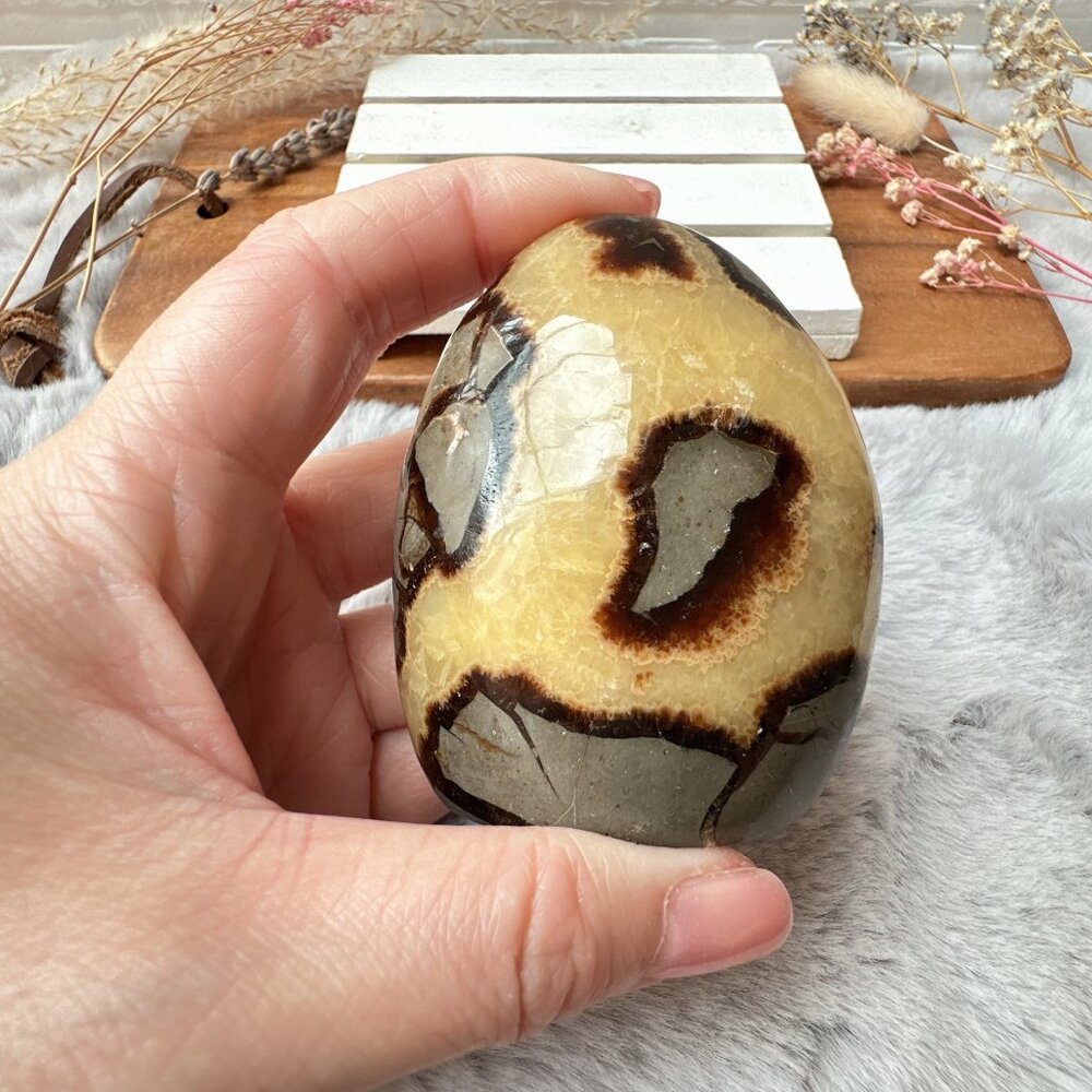 Beautiful Small Septarian Free Form